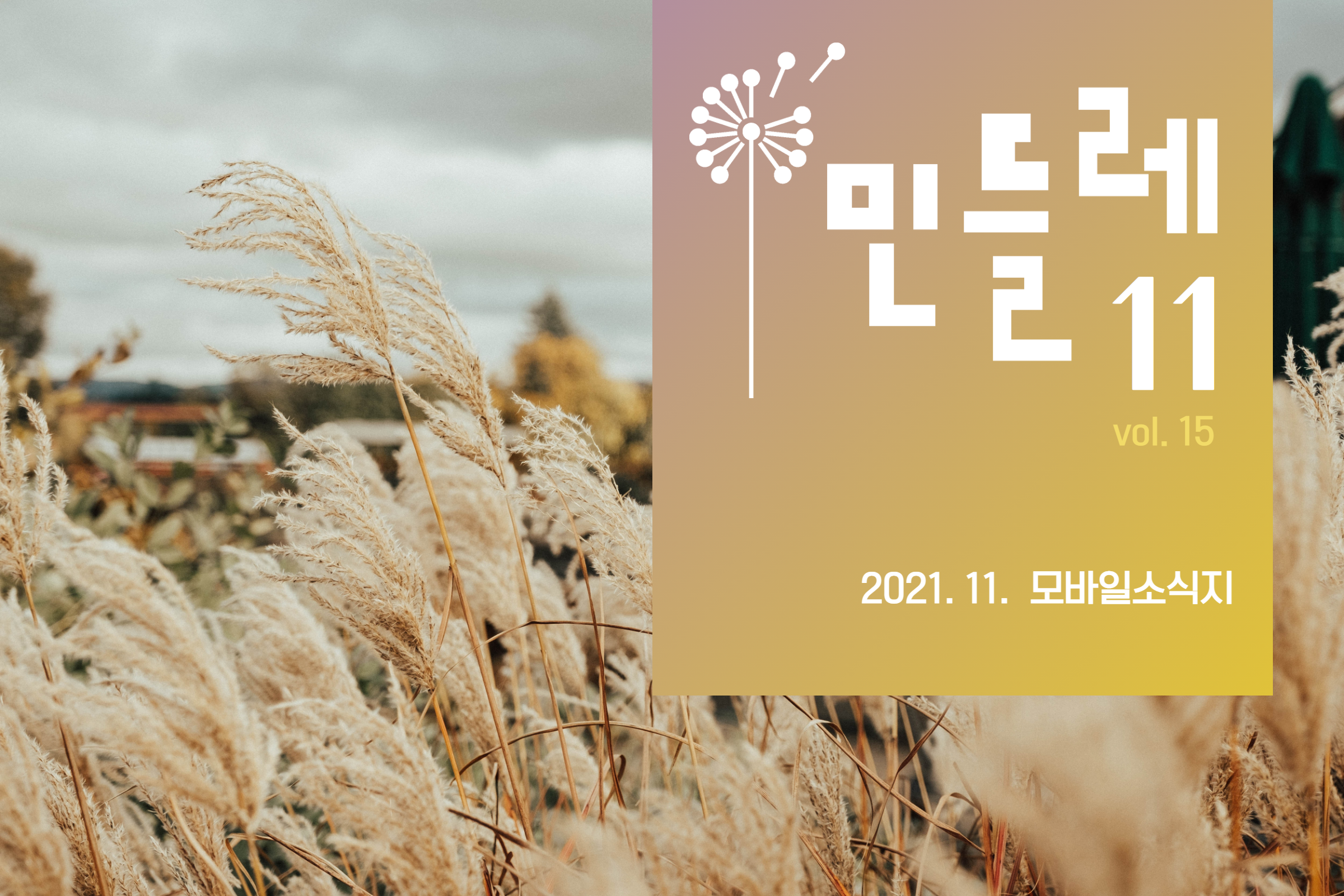 2021 11월.png